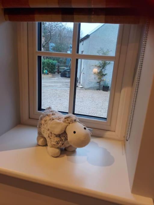 Holly Lodge Letterkenny Zewnętrze zdjęcie