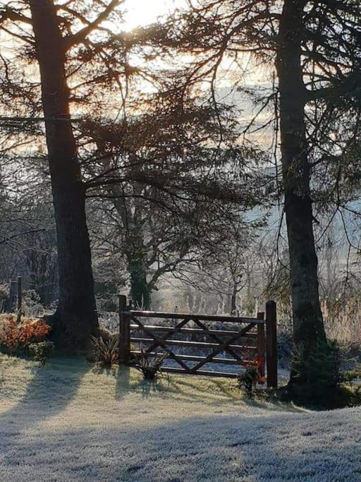 Holly Lodge Letterkenny Zewnętrze zdjęcie