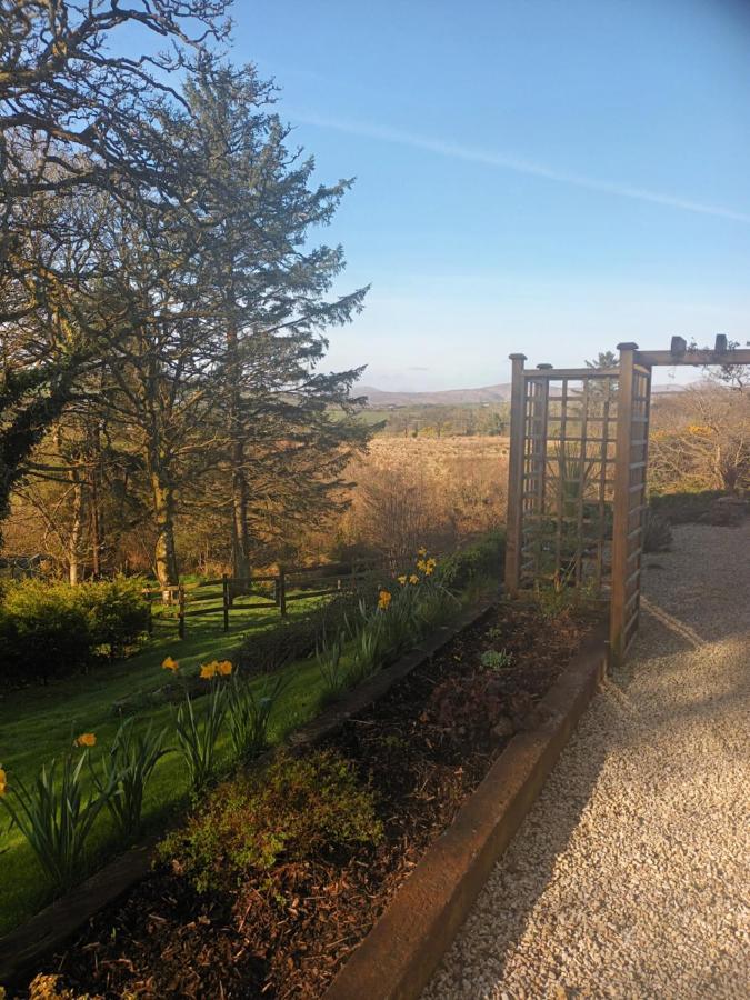 Holly Lodge Letterkenny Zewnętrze zdjęcie